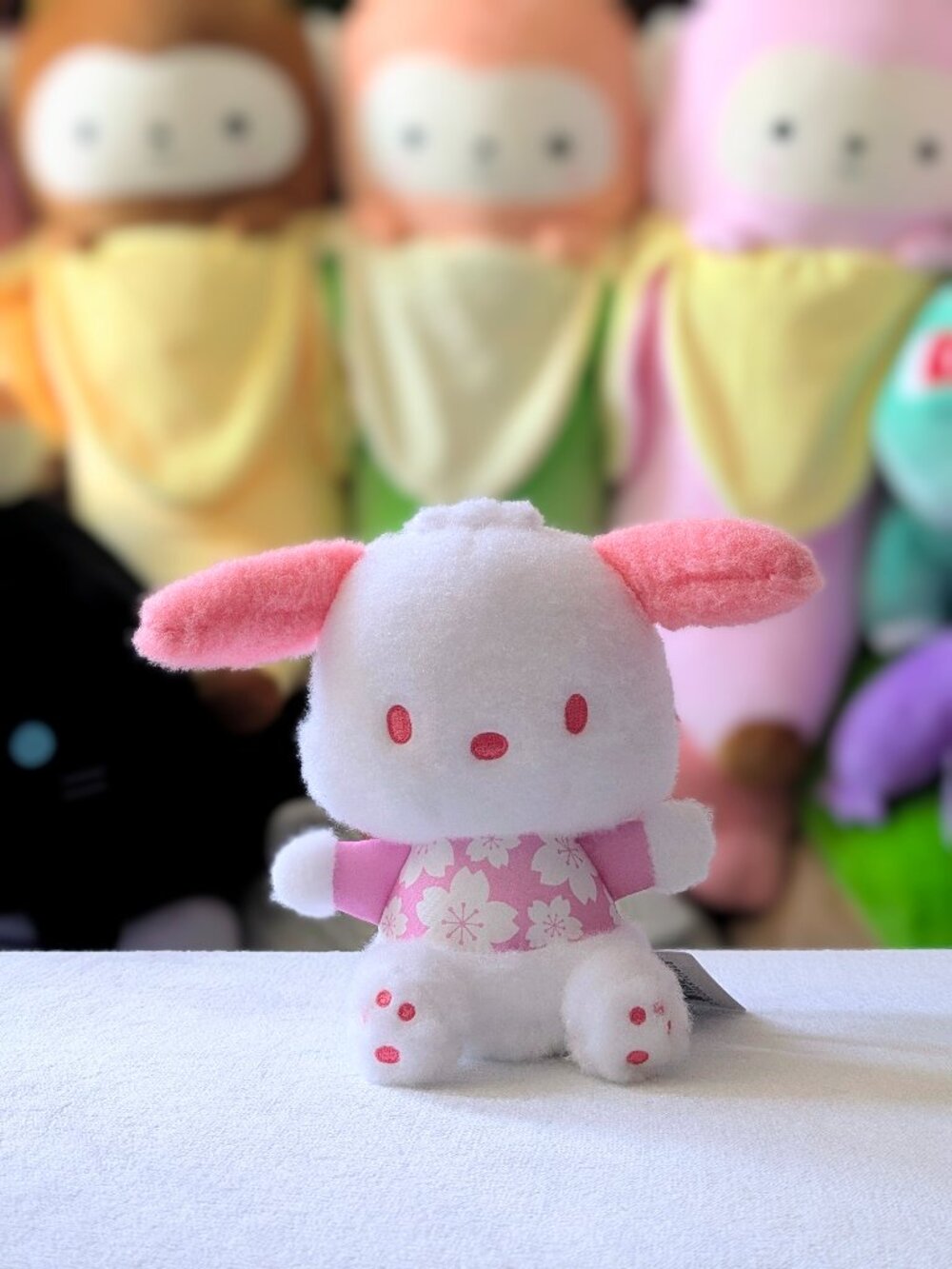 Round 1 Exclusive San-X 6.4" Pochacco Plush (Sakura Series)